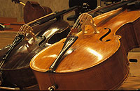 Bild: Kontrab&auml;sse